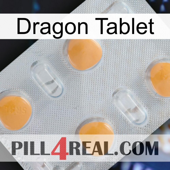 Dragon Tablet 24.jpg